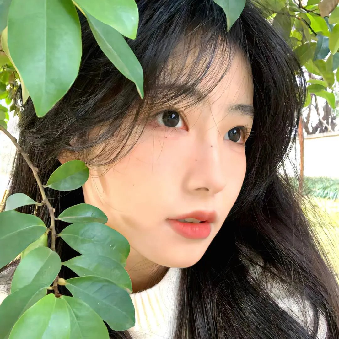 生存的机会